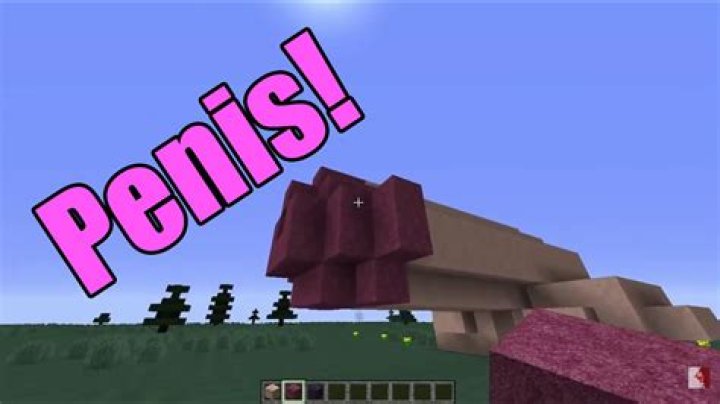 How to make a penis in minecraft