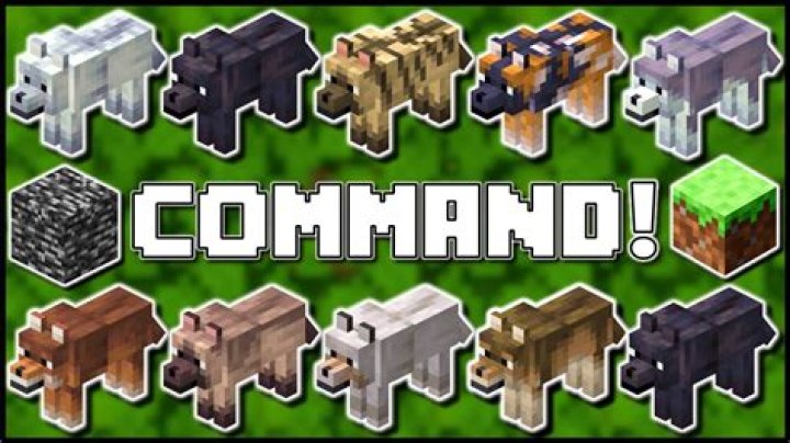 How to make animals spawn in minecraft