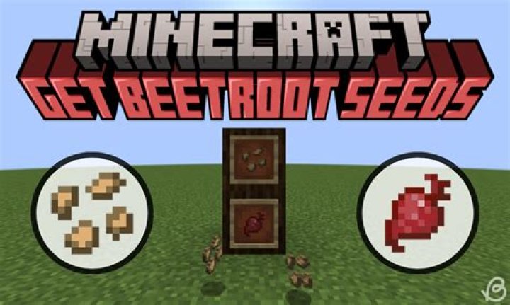 How to make beetroot seeds in minecraft
