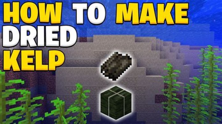 How to make dried kelp in minecraft