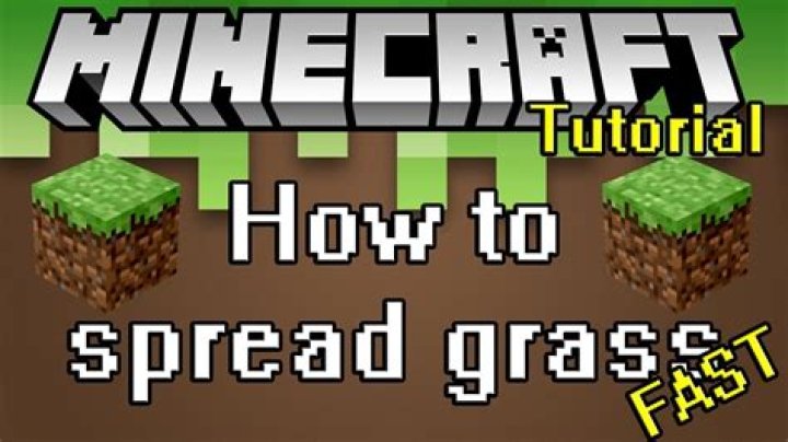 How to make grass grow in minecraft