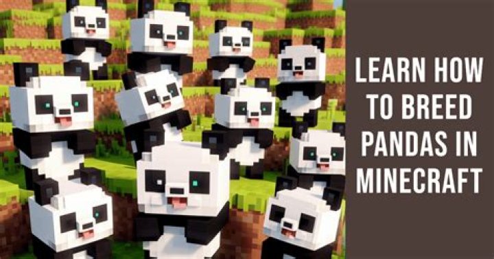 How to make pandas breed in minecraft