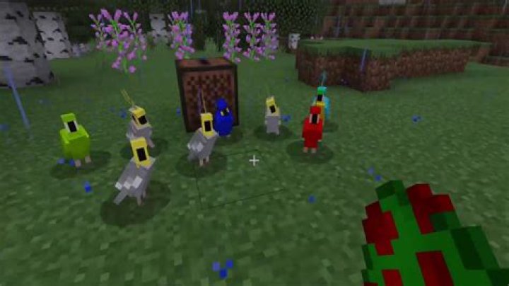 How to make parrots dance in minecraft