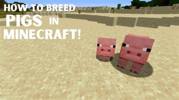 How to make pigs mate in minecraft
