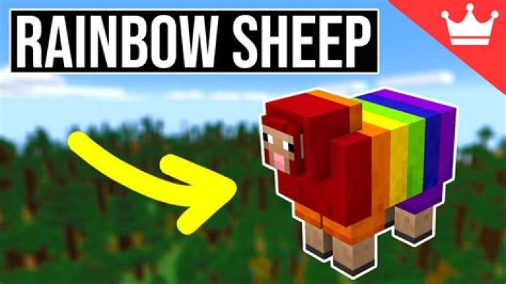 How to make rainbow sheep in minecraft