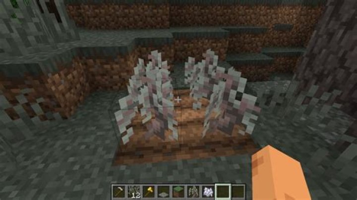 How to make saplings grow in minecraft