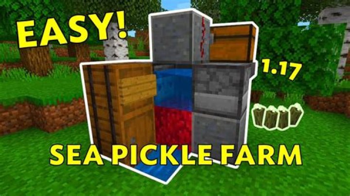 How to make sea pickles in minecraft