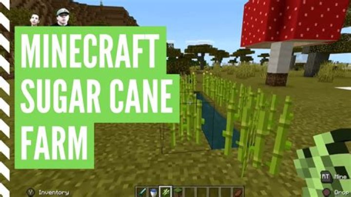 How to make sugarcane grow in minecraft