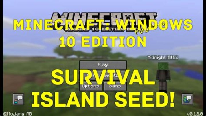 How to make windows in minecraft survival