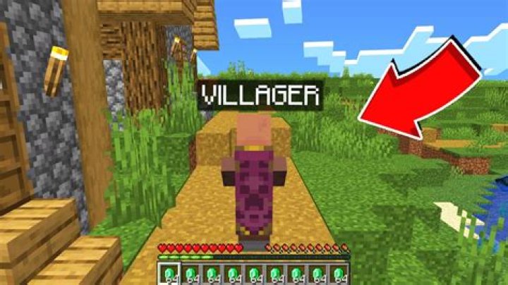 How to move a villager in minecraft