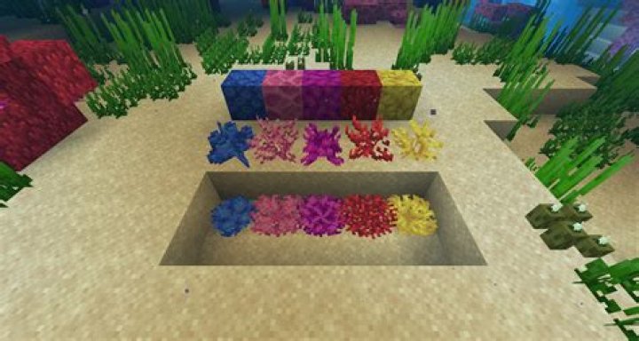 How to pick up coral in minecraft