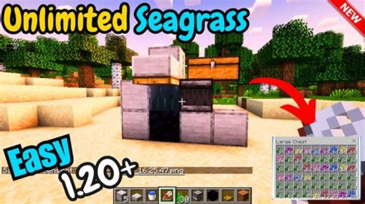 How to pick up seagrass in minecraft