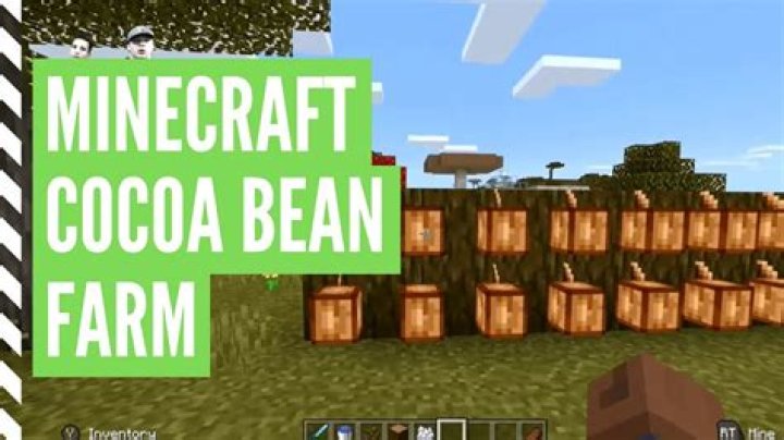 How to plant cocoa beans in minecraft