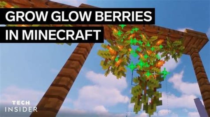 How to plant glow berries in minecraft