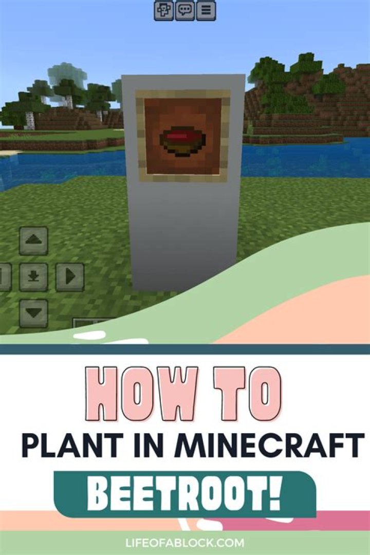 How to plant in minecraft pe