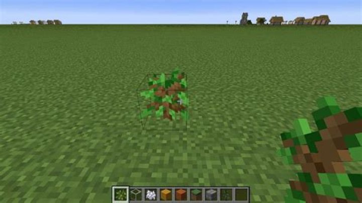 How to plant jungle trees in minecraft