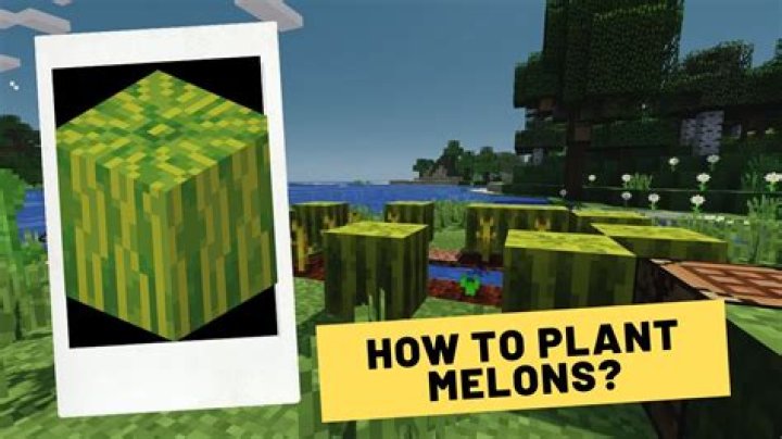How to plant melon seeds in minecraft