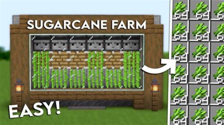 How to plant sugarcane on minecraft