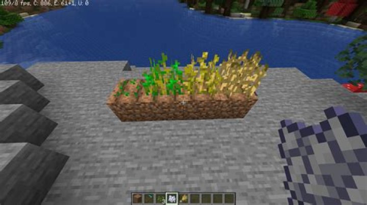 How to plant wheat in minecraft pe
