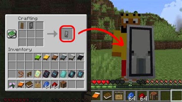 How to put a door in minecraft