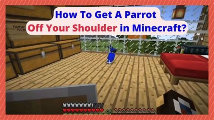 How to put bird on shoulder minecraft