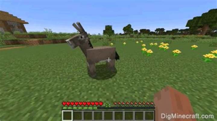 How to ride a donkey in minecraft