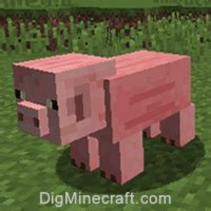How to ride a pig minecraft