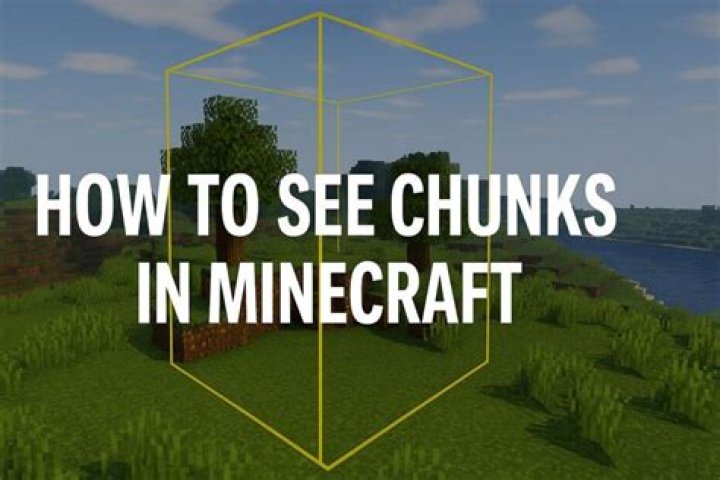 How to see chunks in minecraft java