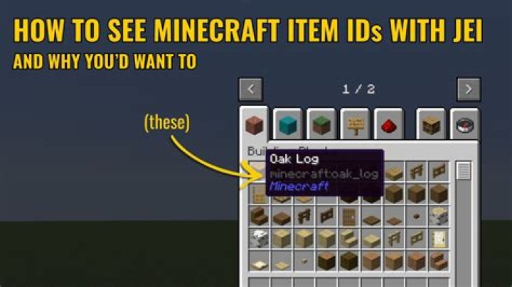 How to see item ids in minecraft