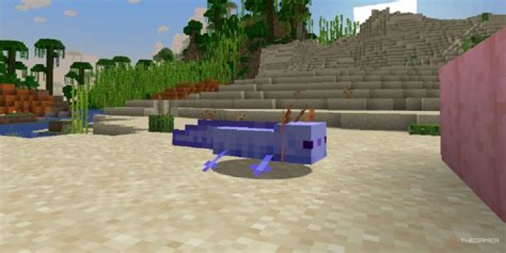 How to summon blue axolotl minecraft bedrock