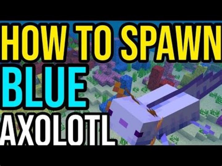 How to summon blue axolotl minecraft pe