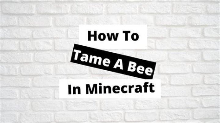 How to tame a bee in minecraft
