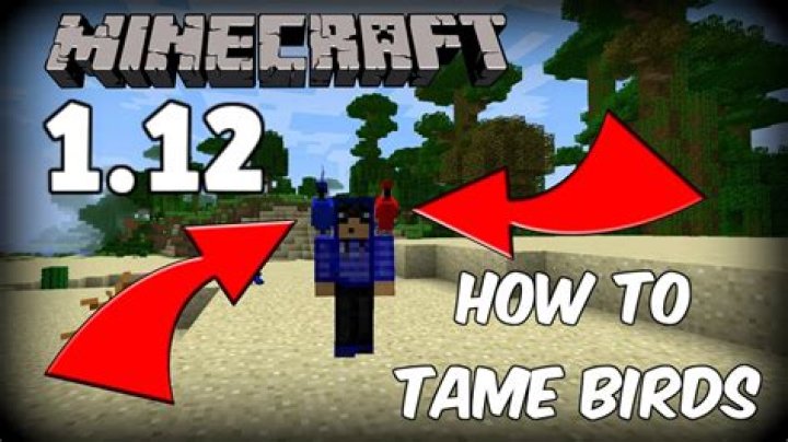 How to tame a bird in minecraft