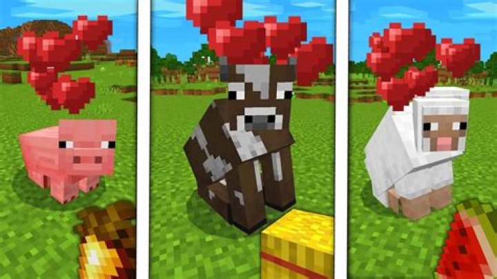 How to tame a cow in minecraft