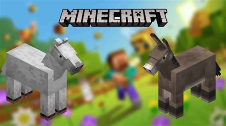 How to tame a donkey in minecraft