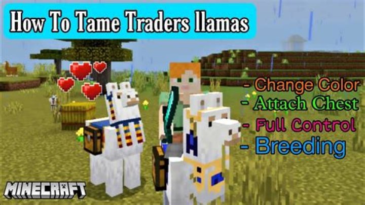 How to tame a lama in minecraft