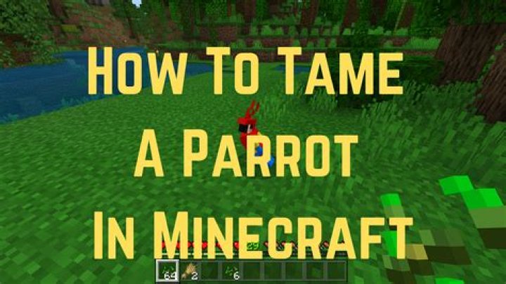 How to tame a parrot in minecraft