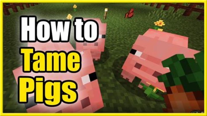 How to tame a pig in minecraft