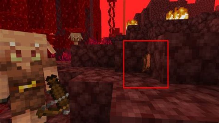 How to tame a piglin in minecraft