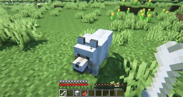 How to tame a wolf in minecraft
