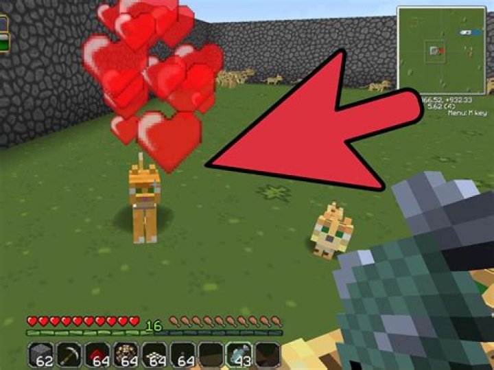 How to tame an ocelot in minecraft