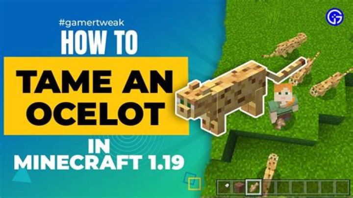 How to tame an ocelot on minecraft