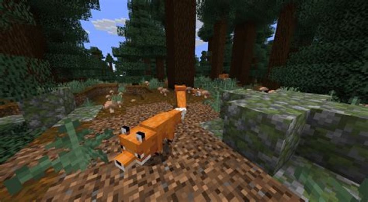 How to tame foxes in minecraft 1.14