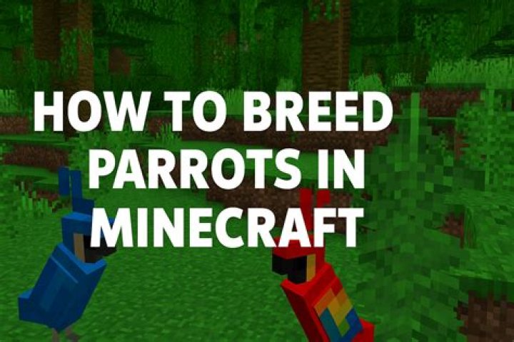 How to tame parrots in minecraft 1.12