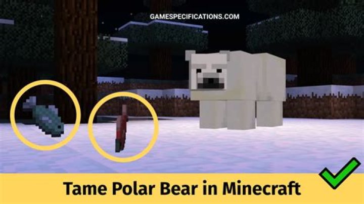 How to tame polar bear in minecraft