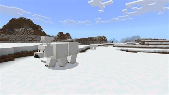 How to tame polar bears in minecraft