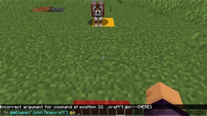 How to teleport your dog in minecraft