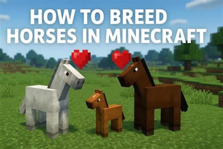 How to tell horse speed minecraft
