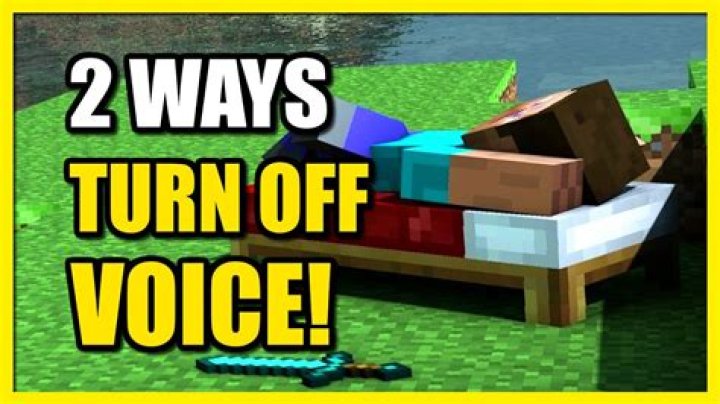 How to turn off voice in minecraft