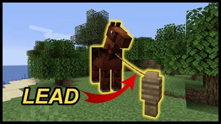 How to use lead in minecraft